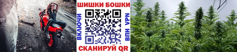 Канабис тримм  Сураж 